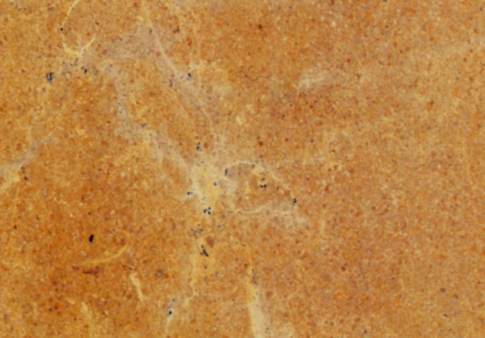 Ibicenca de Mármoles y Granitos marmol 6