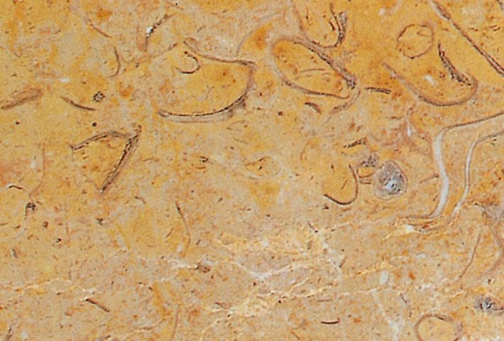 Ibicenca de Mármoles y Granitos marmol 3