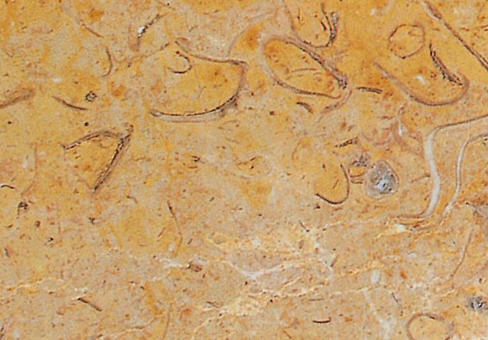 Ibicenca de Mármoles y Granitos marmol 3