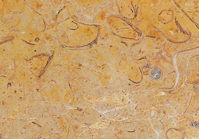 Ibicenca de Mármoles y Granitos marmol 3